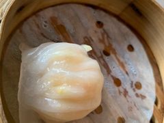 -采蝶轩