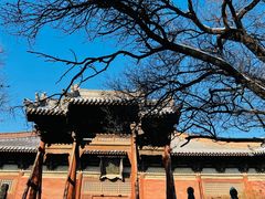 -善化寺