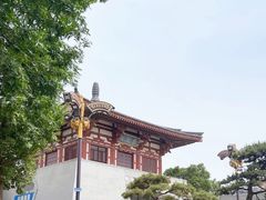 -唐城墙遗址公园