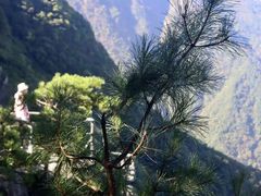 -萍乡武功山风景名胜区