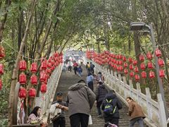 -成都老君山