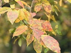 -苏州河梦清园环保主题公园