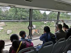 -西安秦岭野生动物园
