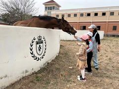 -上林马术中央公园·户外露营·团建·骑乘
