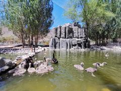 -新疆天山野生动物园