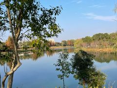 -洋湖国家湿地公园