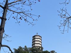 -深圳国际园林花卉博览园