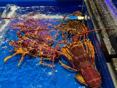 -万宝海鲜舫(劳动公园店)