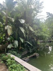 点击看大图 -莲生母婴月子中心(清水河公园店)