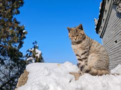 -终南山南五台景区