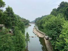 -广州市帽峰山景区