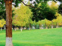 -重庆中央公园(渝北区)