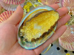 -九层海鲜塔(市南店)