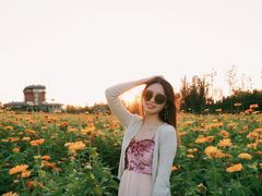 -莲花山花海