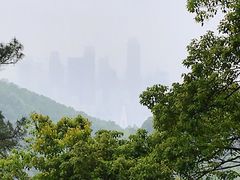 -大金鹰园