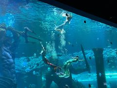 -波塞冬旅游度假区