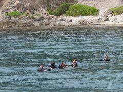 -三亚游船旅游中心(三亚鹿回头游艇游船公共码头店)