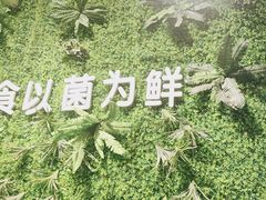 -菌乡缘·野生菌蒸汽鱼火锅(江边夜市店)