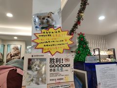 -伟伟宠物医院·CT影像中心·瑞派犬猫综合性门诊(汉口总院)