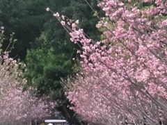-观澜湖生态运动公社