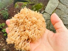 -罗田薄刀峰风景区