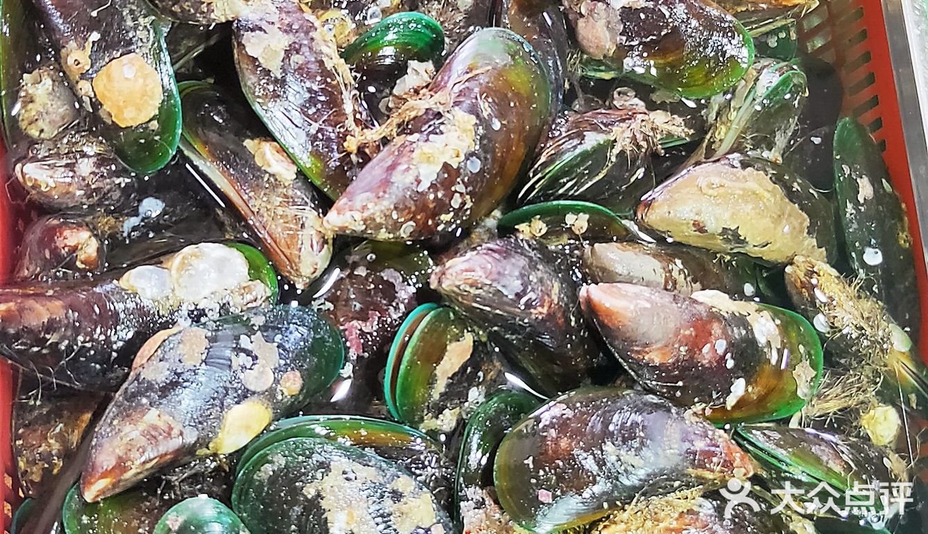 【广海🦐海鲜】