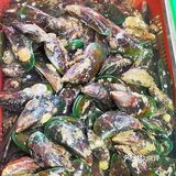 【广海🦐海鲜】