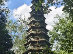 -文瀛公园