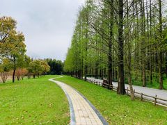 -同里国家湿地公园