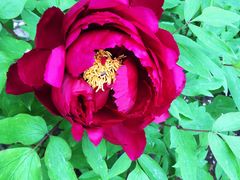 -狼山风景名胜区