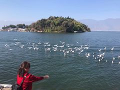 -南诏风情岛