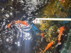 -太平洋海底世界