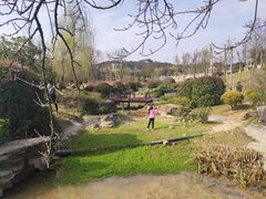 -铁山坪森林公园