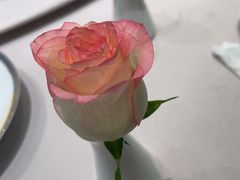 -虹御轩·传承江浙菜(虹桥店)