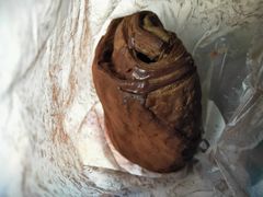 脏脏包-85度C(苏州石路店)