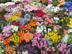 -双季花艺园艺市场(浦东店)