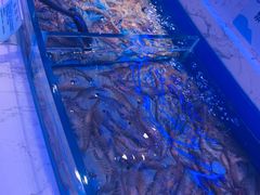 -澜悦港海鲜体验主题餐厅