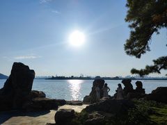 -东湖落雁景区