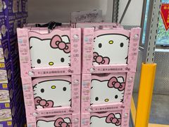 -山姆会员商店(上海浦东店)