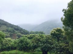 -缥缈峰景区