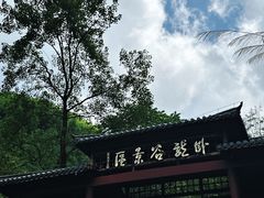 -大鄣山卧龙谷景区