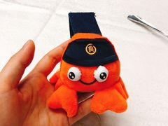 玩具-新加坡珍宝海鲜JUMBO Seafood(西安skp店)