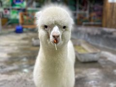 -上海大自然野生昆虫馆