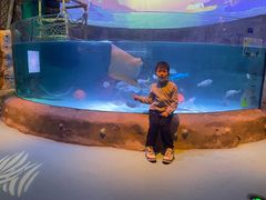 -沈阳海洋探索中心