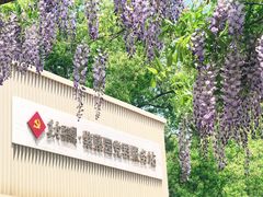 -嘉定紫藤园