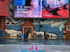 -西安曲江海洋极地公园