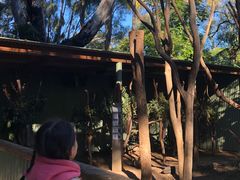 -费瑟代尔野生动物园