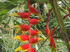 -西双版纳傣族园