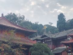-都江堰普照寺