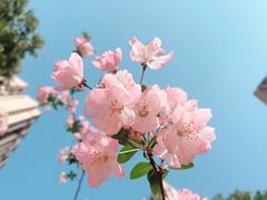 -永旺梦乐城(金银潭店)